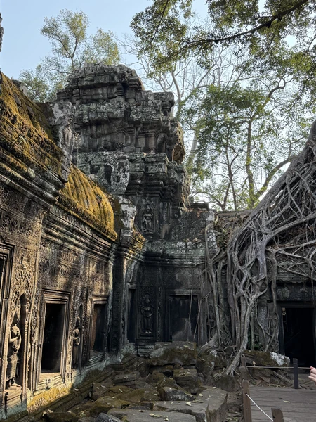 На наш искушенный взгляд путешественников это было одним из лучших приемов