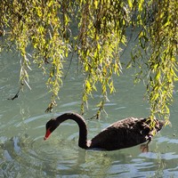 Фото путешественника — 5