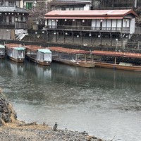 Фото отзыва 2: экскурсия "Очарование Удзи — скрытого сокровища Киото"