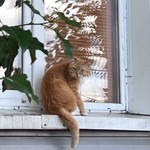 Наталья