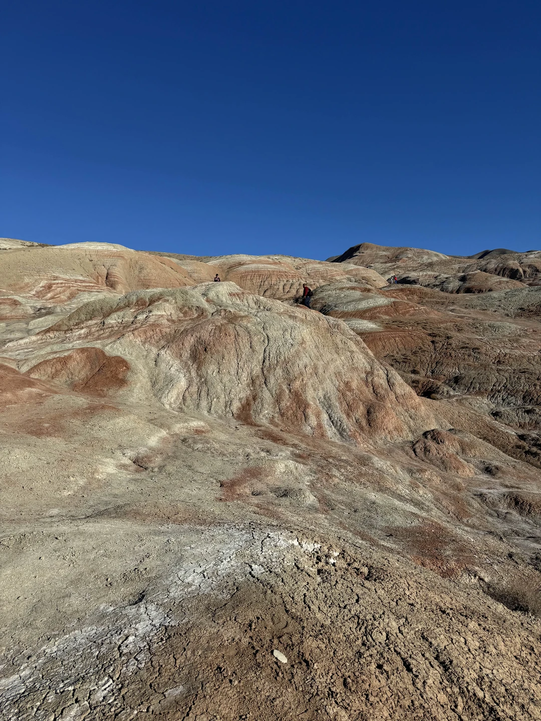 Хорошая экскурсия.