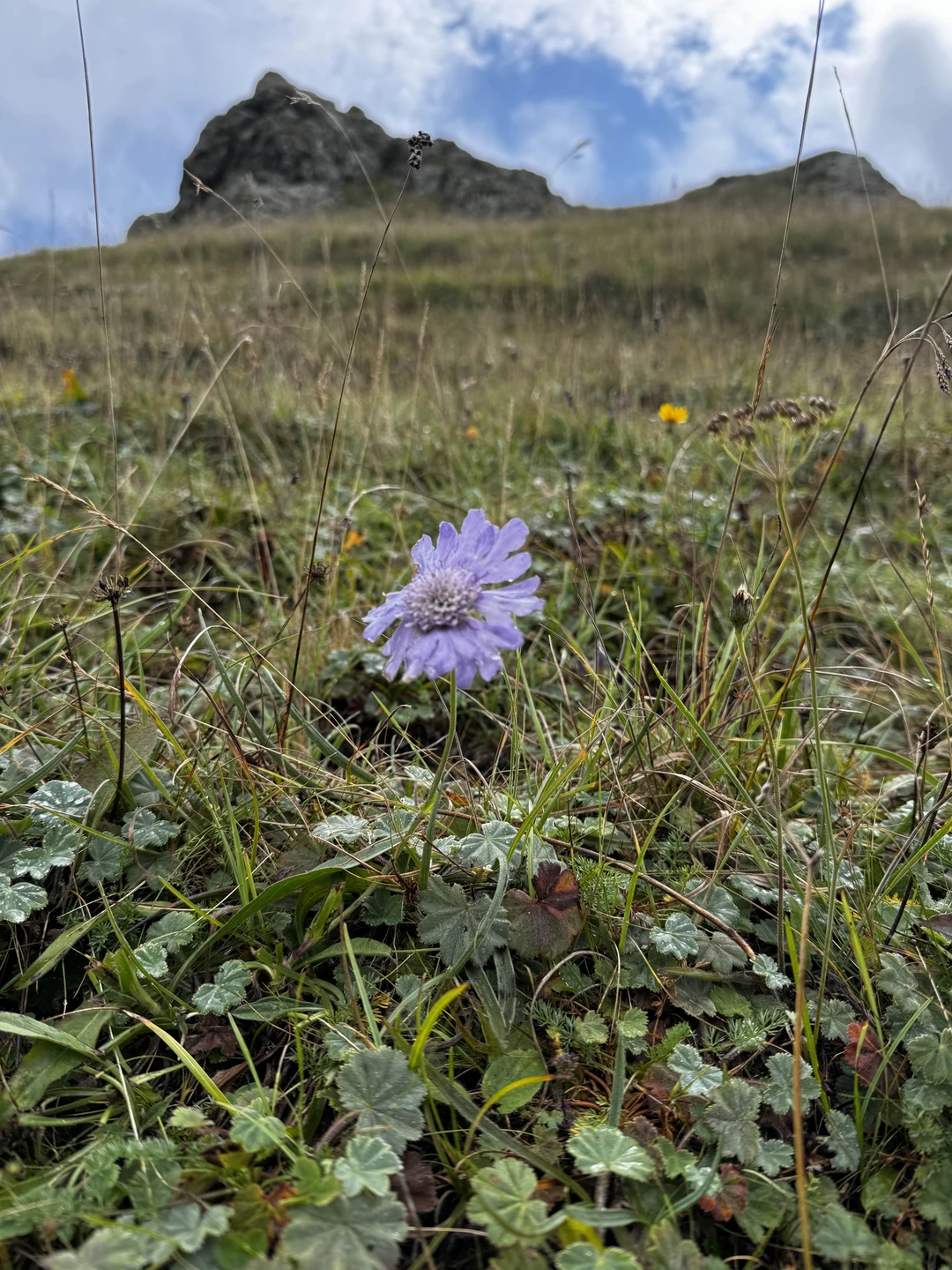 Прекрасная поездка. Из-за непогоды немного изменили маршрут, виды захватывают дух, это не передать словами, это нужно только видеть и чувствовать ❤️