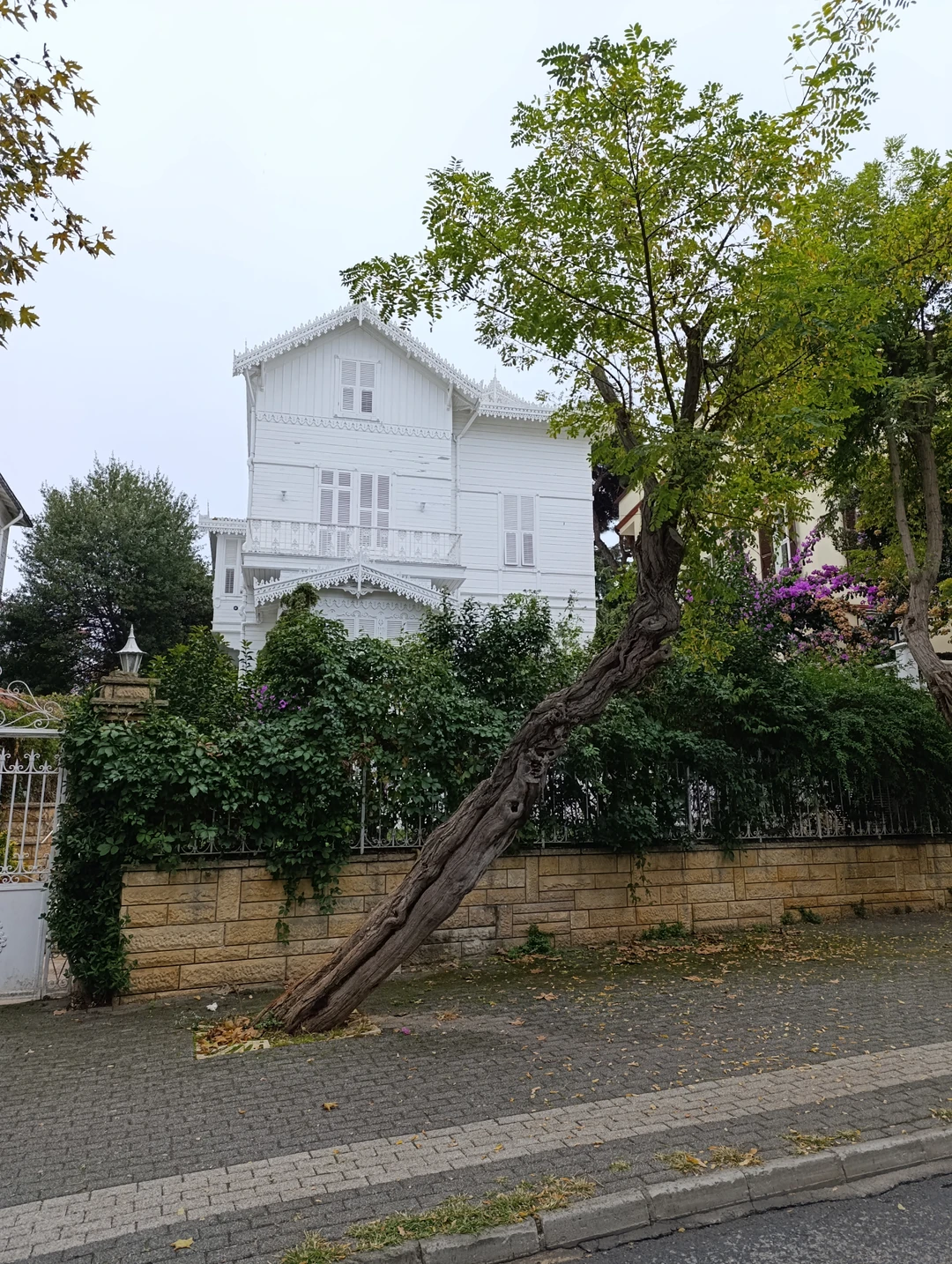 Всё нормально: трансфер вовремя в удобном минивене, кораблик удобный, обед вкусный