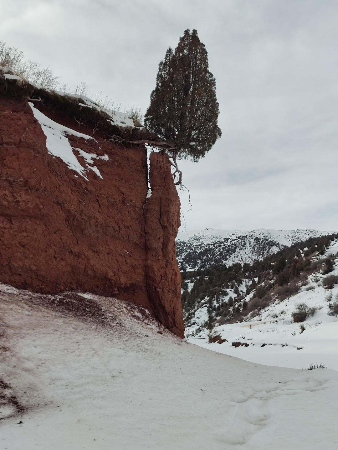 Были на экскурсии по заповеднику Чункурчак с Юрием. Экскурсия великолепно выстроена, с посещением всех чарующих мест