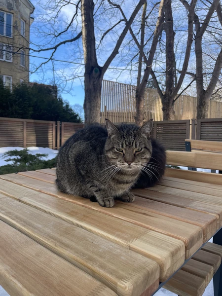 Утренняя Куршская коса, Зеленоградск и замок Нессельбек на автобусе (Елена)