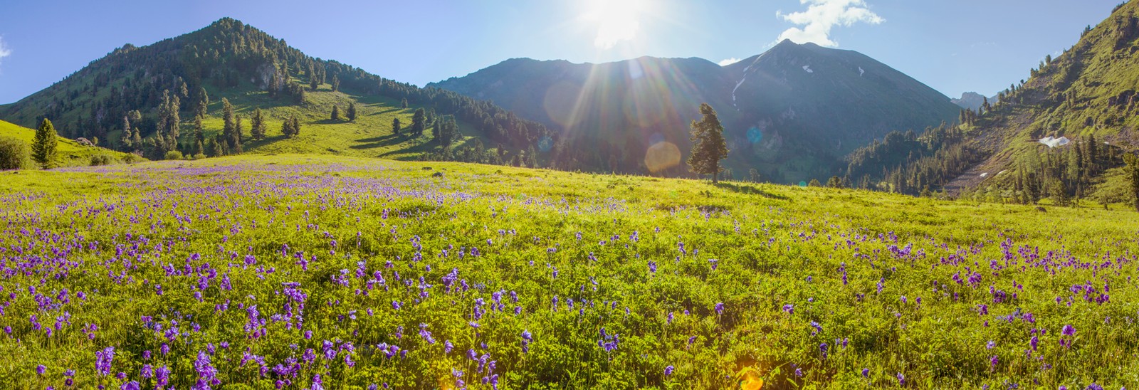 Алтай для активных: тур по знаковым локациям с треккингами, сплавом и конной прогулкой