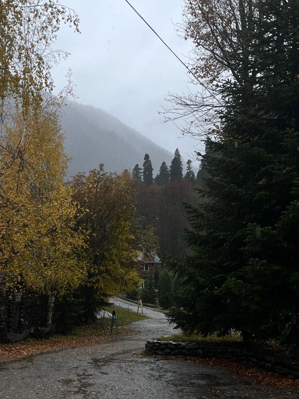 Путешествие 10 из 10! Несмотря на дождливую погоду, Домбай был прекрасен, и навсегда останется в моём сердце!