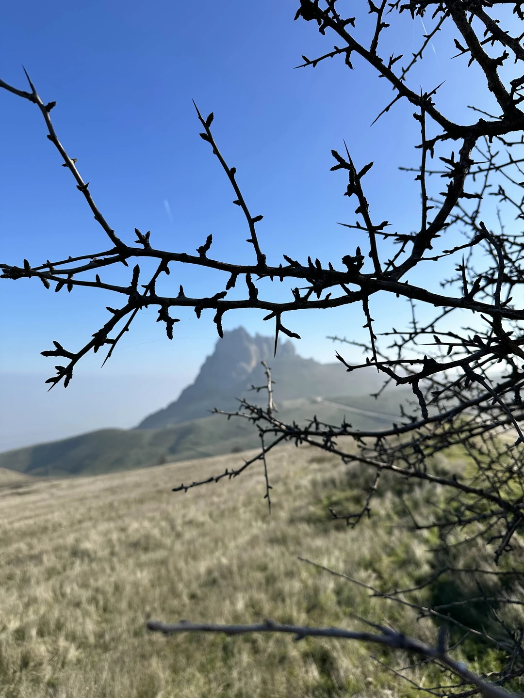 Потрясающая экскурсия! Большое спасибо гиду Идрису за подробные рассказы и ответы на вопросы) в ноябре очень