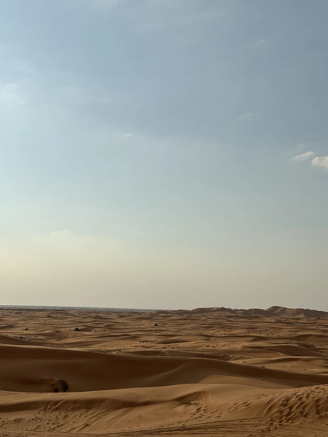 Супер! Специально искала экскурсию без заезда в деревню бедуинов, нашла только эту. Евгения всегда была на