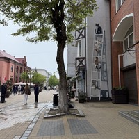 Фото отзыва 1: экскурсия "Автобусная экскурсия «Куршская коса, Зеленоградск и семейная сыроварня»"