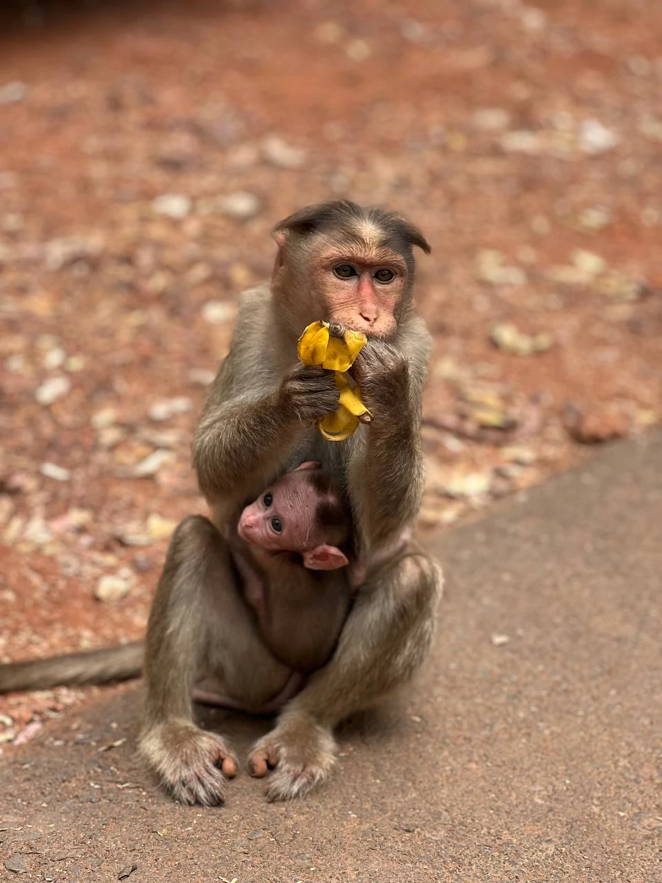 Огромное спасибо Наталье за чудесное приключение!
