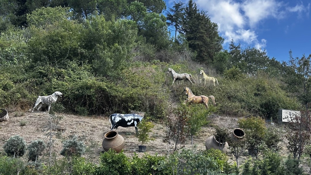 Все грани Стамбула (Виктория)