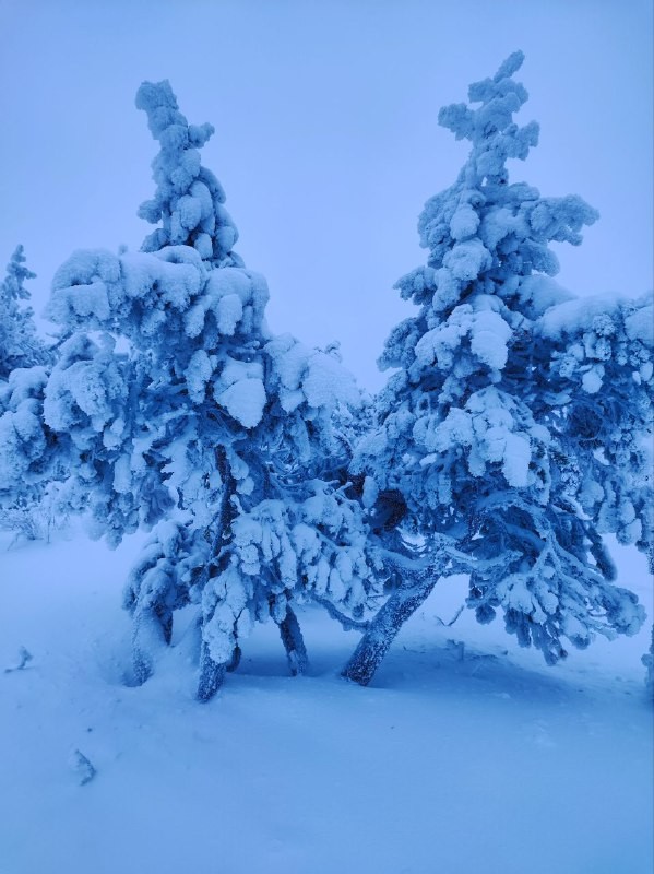 Замечательная прогулка, прекрасный гид, шикарная природа! Юлия, спасибо огромное за такой поход, хорошее настроение, за интересную