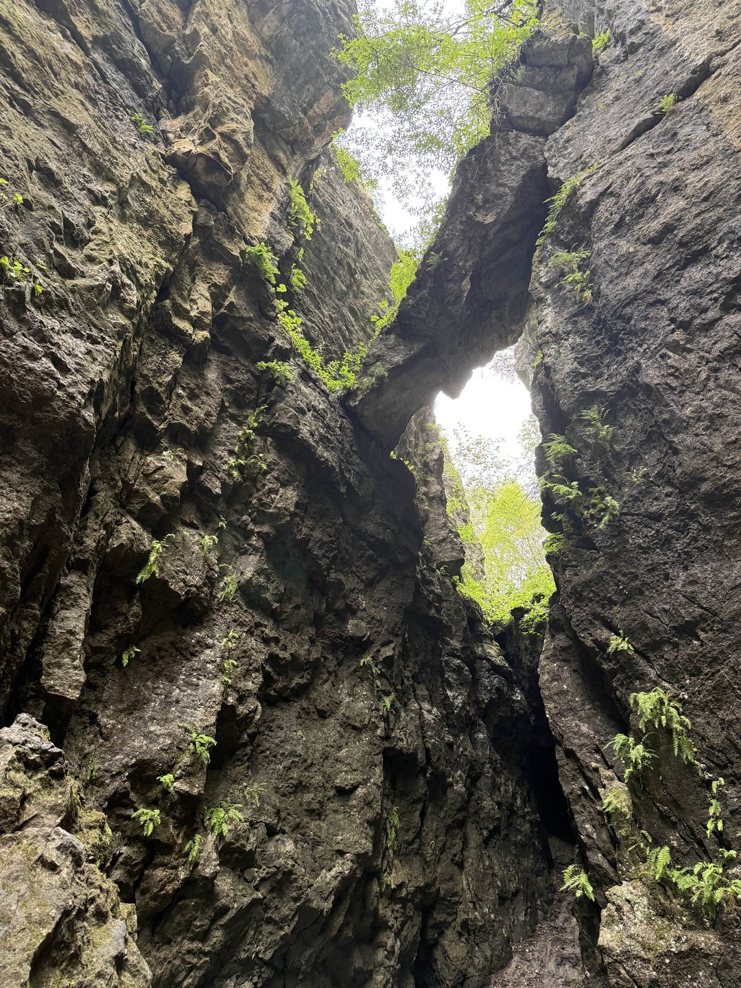 Замечательная по своей красоте экскурсия! У нас был очень милый гид - Беслан. ✨ Очень интересно