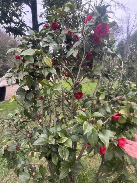 Сама экскурсовод - сгусток радости и позитива. Знающий и любящий историю гид. Рекомендуем