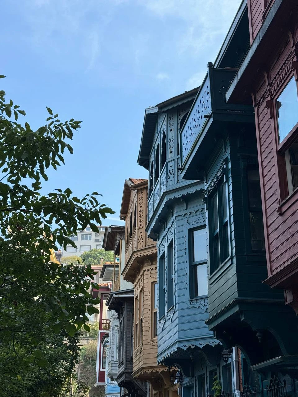 Потрясающая экскурсия! Нам настолько понравилось, что на следующий день взяли еще одну - Стамбул от Айя-Софии до Босфора