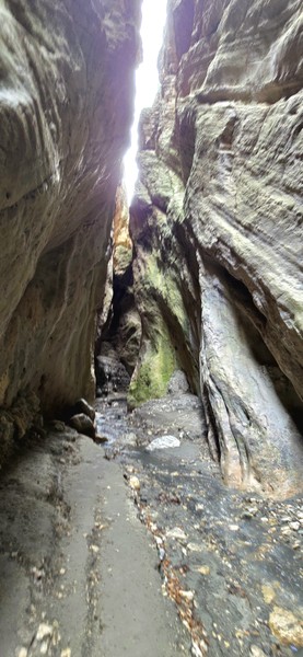 Хочу поделиться впечатлениями об экскурсии, которая состоялась 27 марта 2026 года