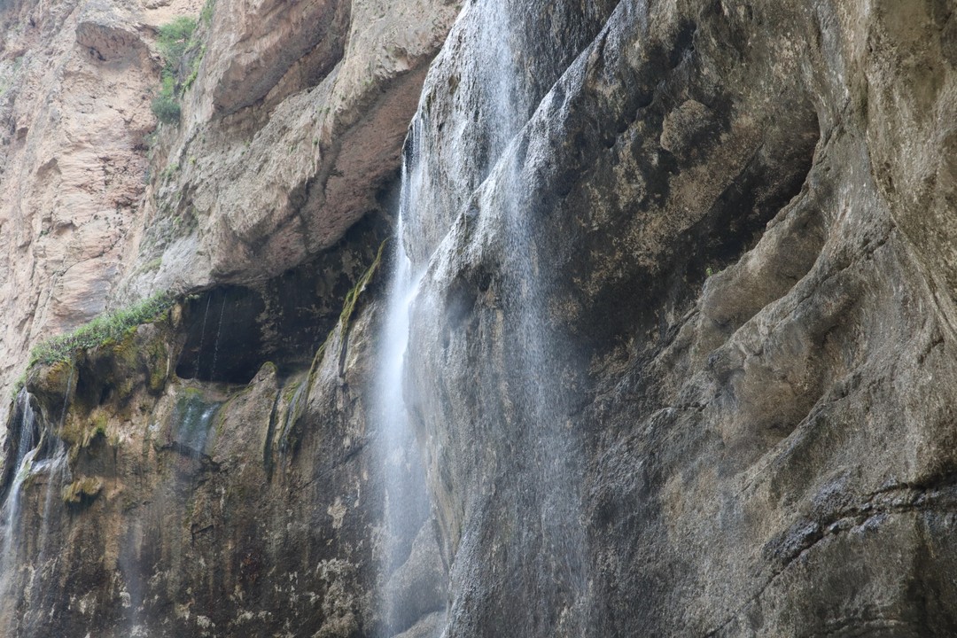 Огромное спасибо Елене. Отличный гид, прекрасный собеседник. Узнали много нового и интересного. Обязательно посоветую друзьям.