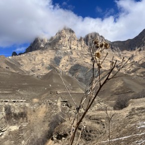 Фото отзыва 1: экскурсия "Урочище Джилы-Су: магия Северного Приэльбрусья из Железноводска"