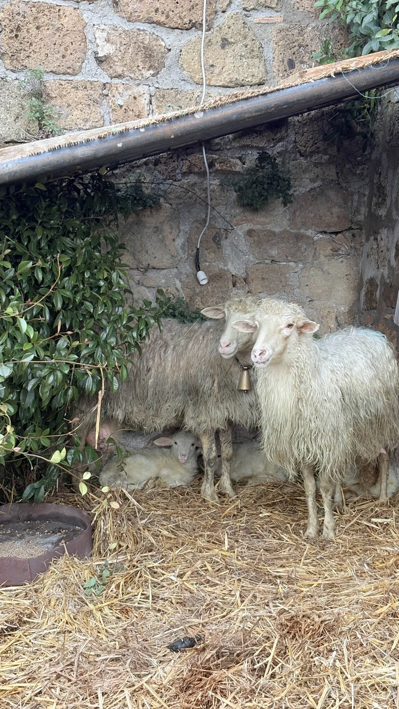 Отличная экскурсия! Ехать правда долго но это того стоит!