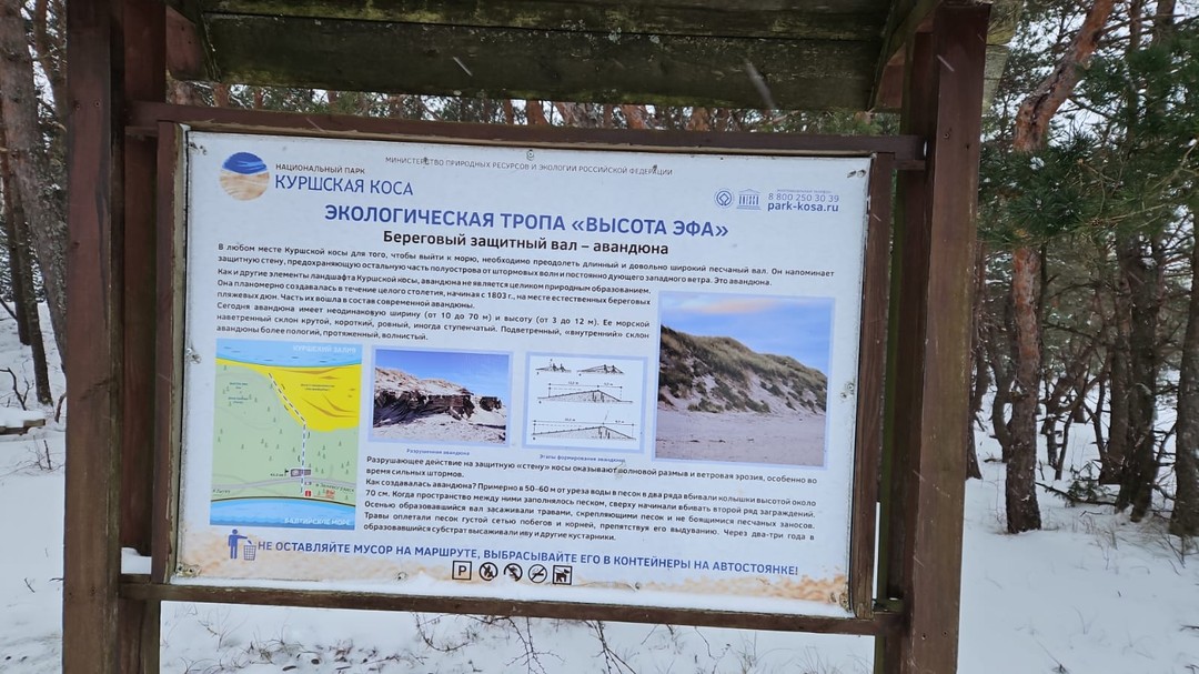 Очарование Куршской косы и загадки средневекового замка Шаакен (Сергей)
