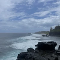 Фото отзыва 1: экскурсия "Чудеса природы на юге Маврикия"