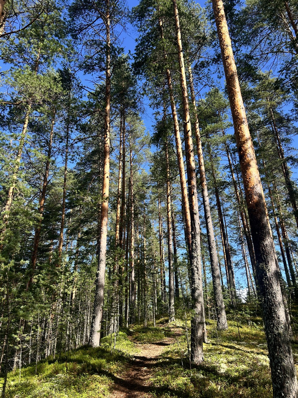 Путешествие к водопаду Белые мосты + прогулка по Ладожским шхерам (20/20)