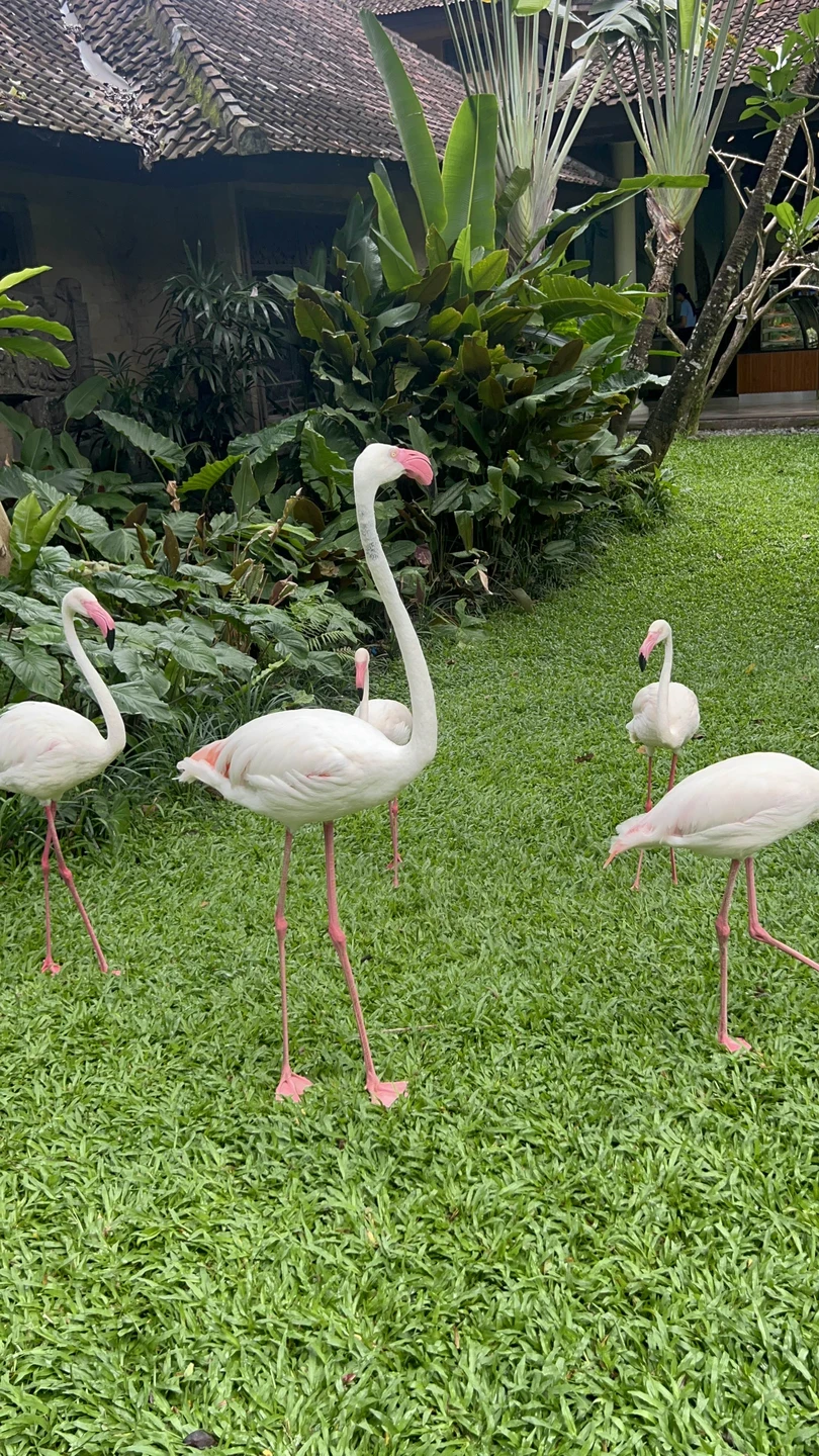 Ваян превзошел все наши ожидания💛! Потрясающий гид и человек, необыкновенно эрудированный, позитивный и добрый! Было очень