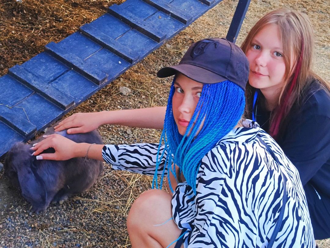 Посетили замечательную экскурсию на ферму альпак, и хочу поделиться своими впечатлениями!