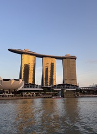 Фото отзыва 3: экскурсия "Вечерний гастрономический Сингапур"