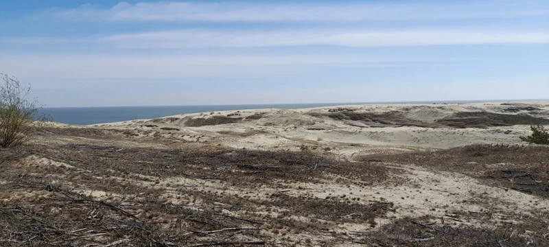 Красота….. хотя осталось легкое разочарование… очень мало время на косе… хотелось бы минут на 20- 30