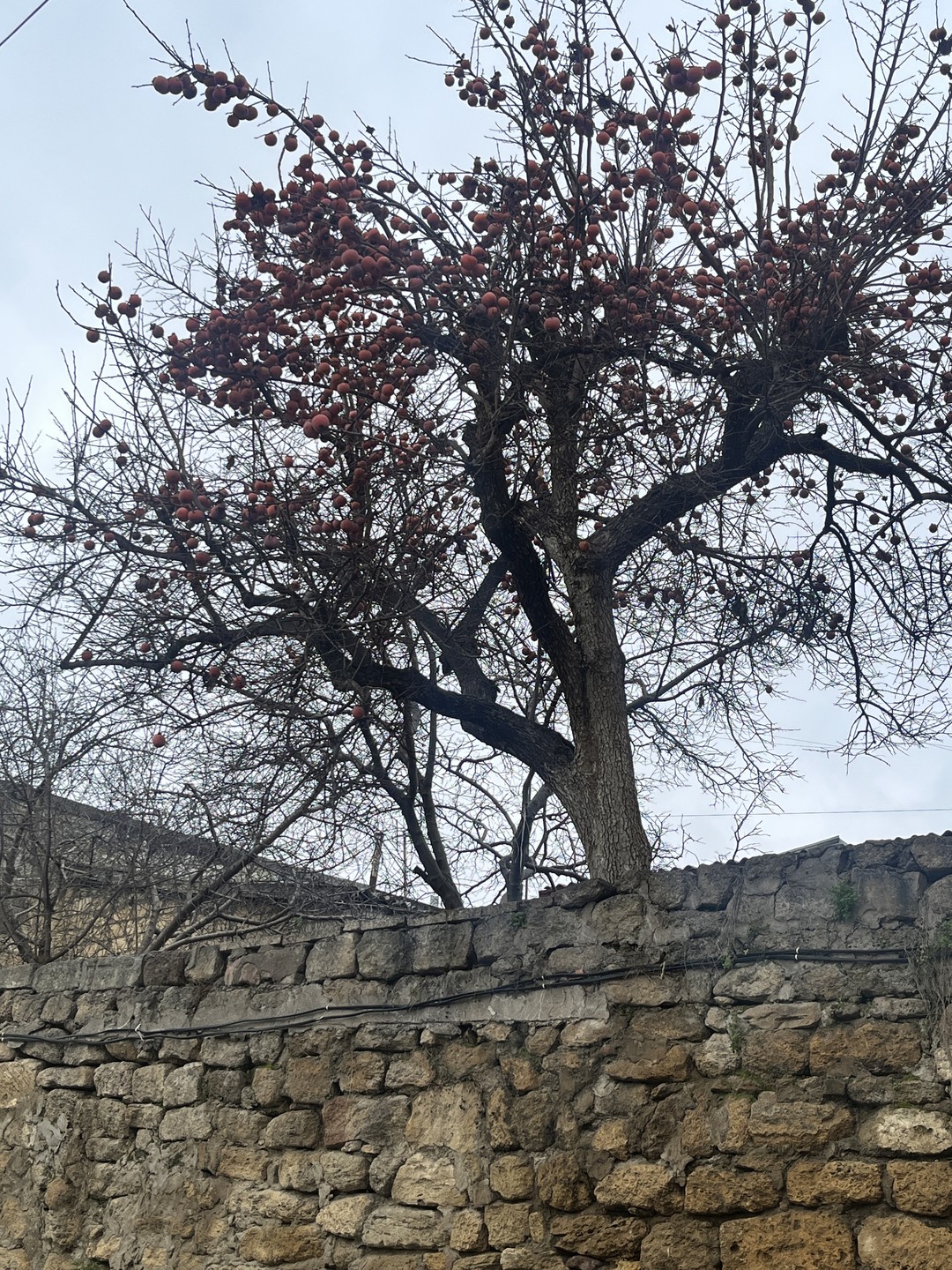 Дербент-это просто восточная сказка!