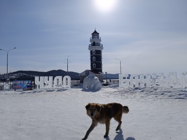 Фото отзыва 1: экскурсия "Байкал своими глазами — из Улан-Удэ"