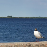 Фото отзыва 2: экскурсия "Архангельск на авто!"