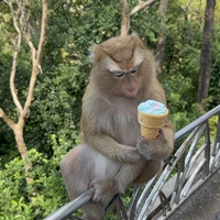 Фото отзыва 1: экскурсия "Нетуристический Пхукет на байках"