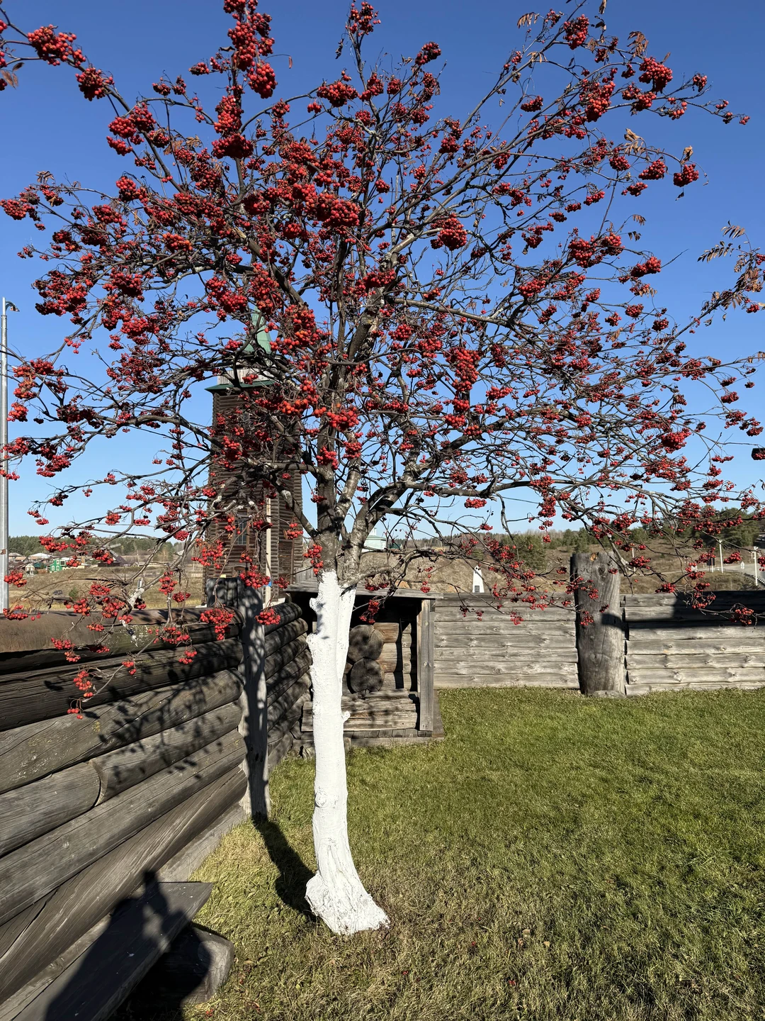 Отличная экскурсия, получила массу впечатлений, добралась до мест, до которых ни доехать, ни допрыгать, ни руками не достать!