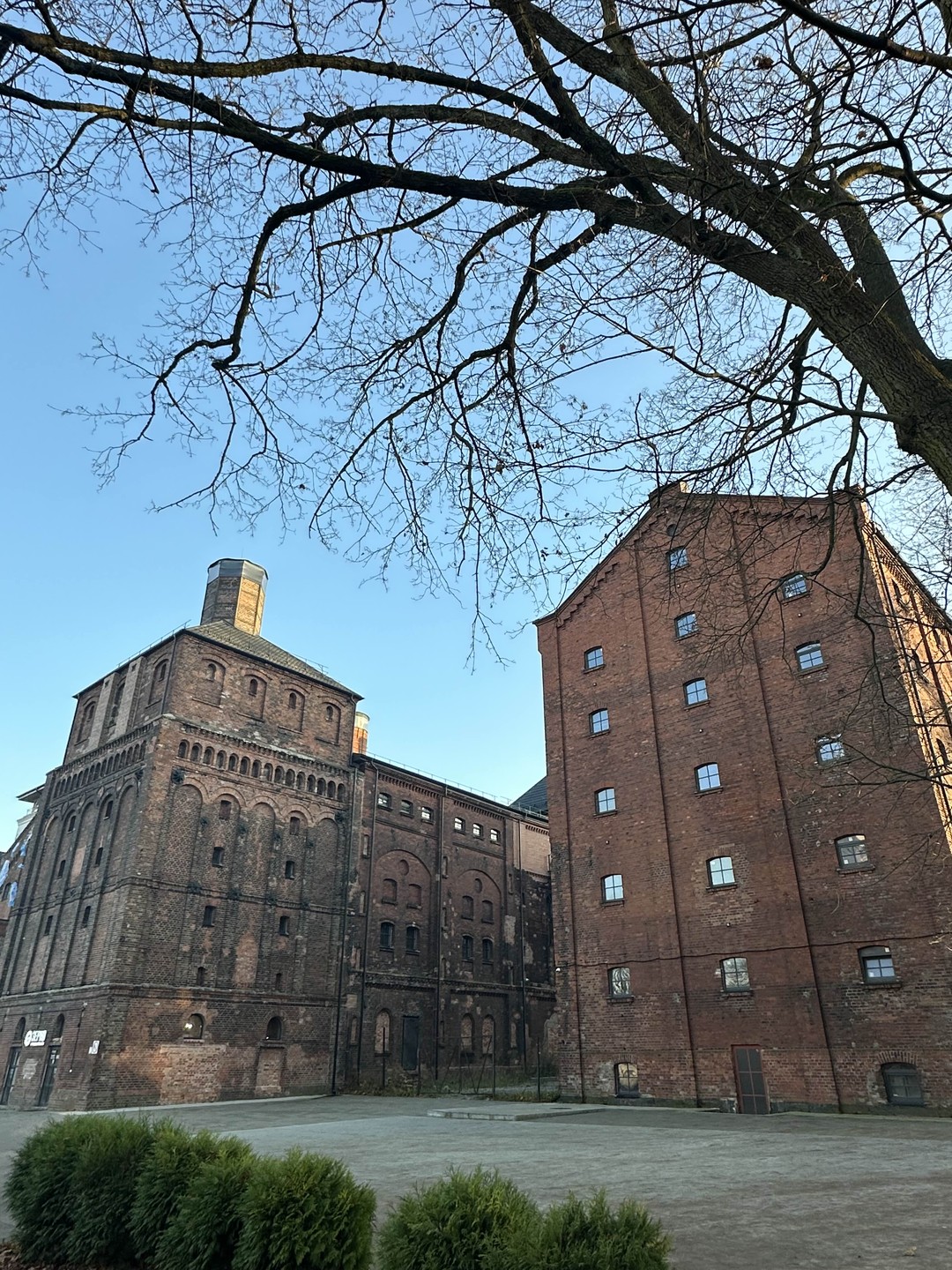 Хотелось посмотреть на Калининград нетипичный и нетуристический. Выбрали экскурсию в Балтрайон и это была заключительная яркая