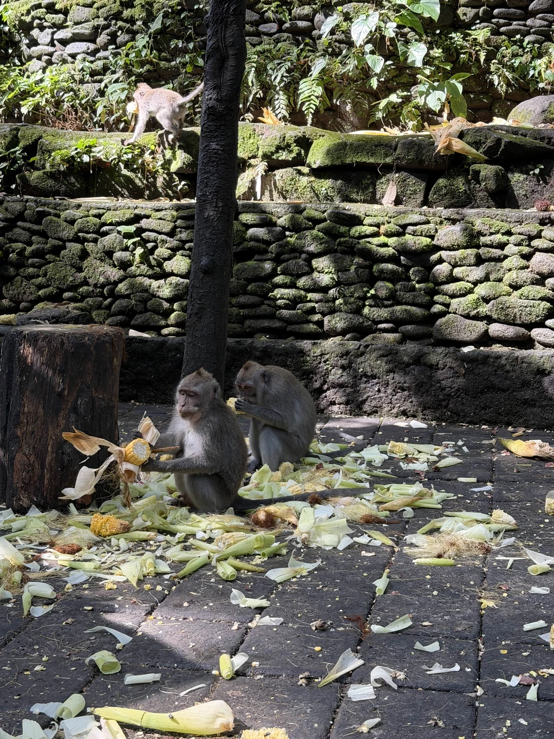 Бали, который вы ждёте (Александра)