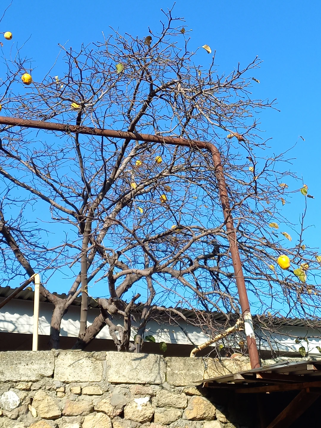 4 января побывали на интересной экскурсии. Оценили толщину и прочность крепостных стен, увидели зинданы, хранилища воды