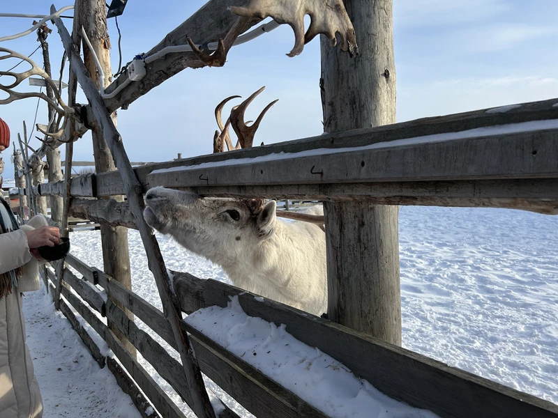 Большое спасибо организаторам экскурсии и особенно нашему гиду Александру! Встреча была назначена на 7 утра, и