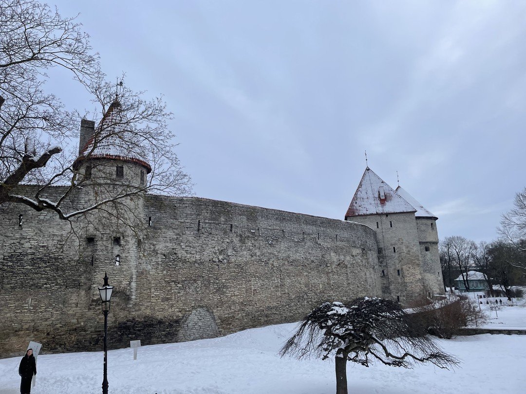 Таллин сквозь столетия (Мила)
