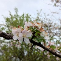 Фото отзыва 2: экскурсия "Из Краснодара — по ярким местам республики Адыгея"