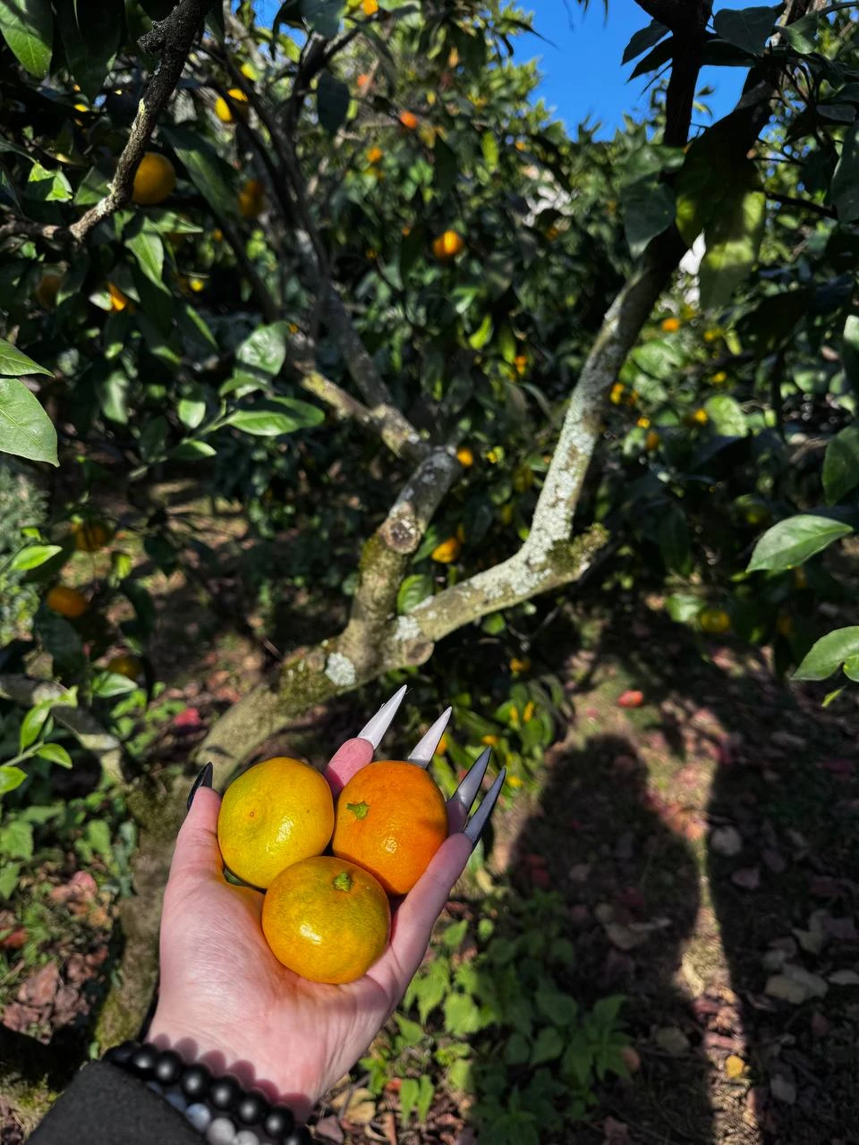 Великолепная экскурсия!