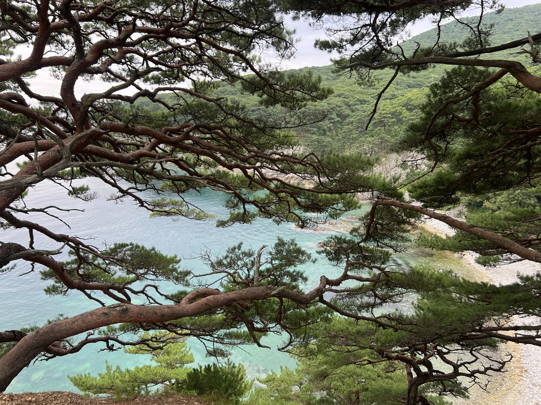 Здравствуйте, интересная поездка, чтоб ознакомиться с многогранным Приморским краем, красивые пейзажи, чистое море. Коллективно мы поменяли