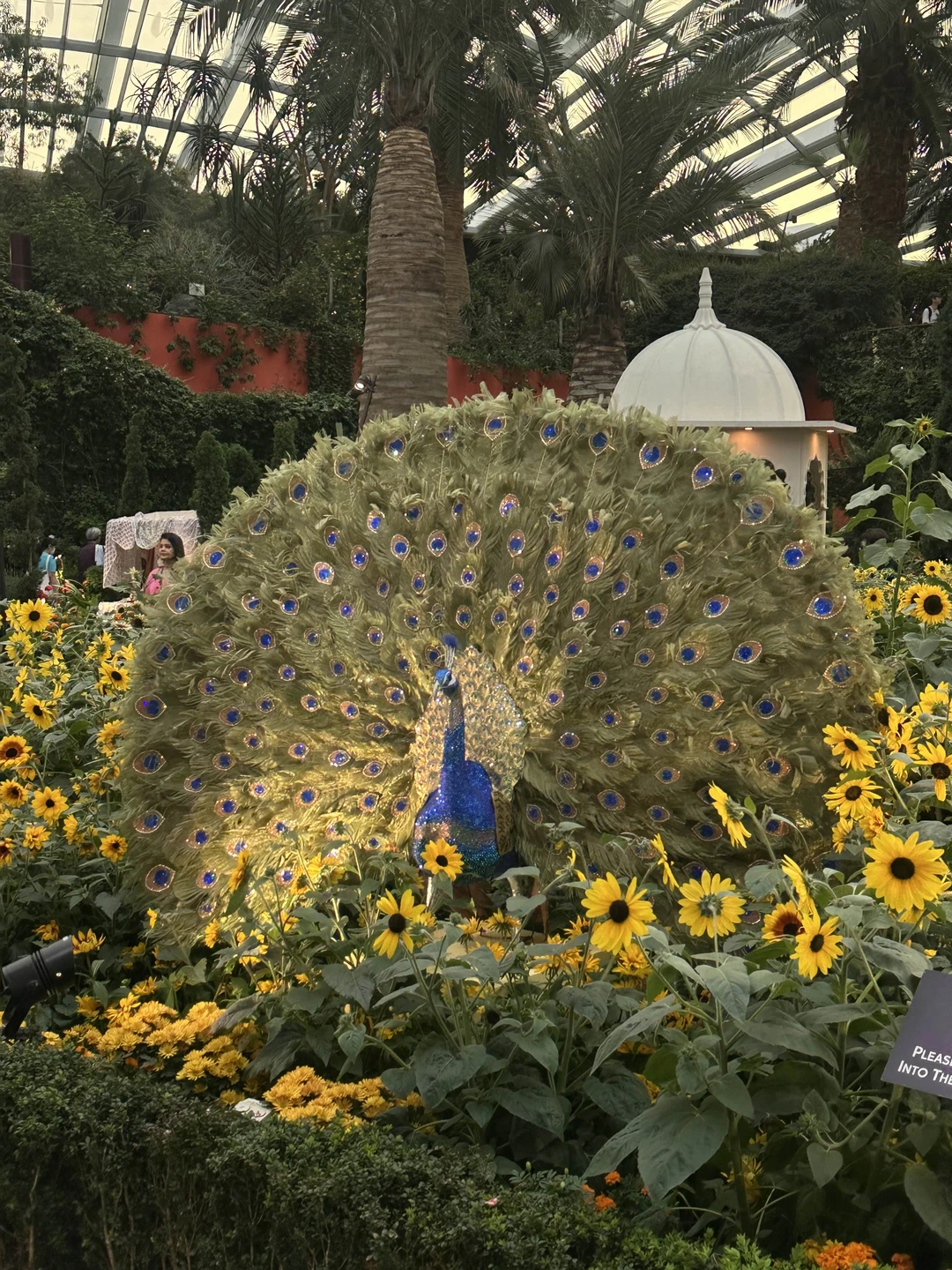 Все очень понравилось, второй раз в Сингапуре и на многое посмотрели по новому и посетили новые локации, однозначно рекомендую!