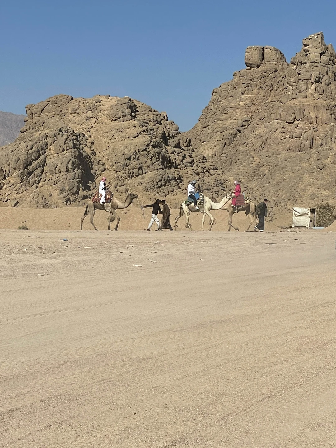 Отлично покатались, всем советую. Гид посоветовала утреннее время для катания, не жарко, меньше туристов