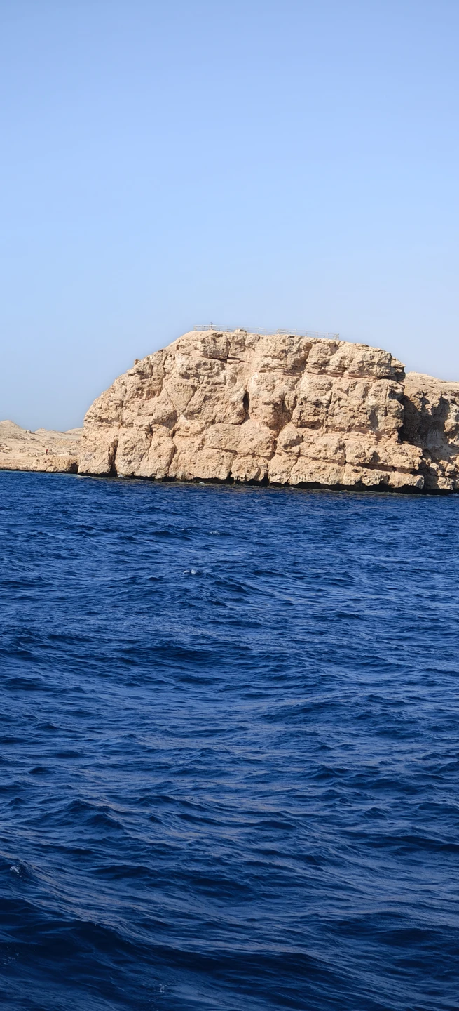 Всё прошло отлично