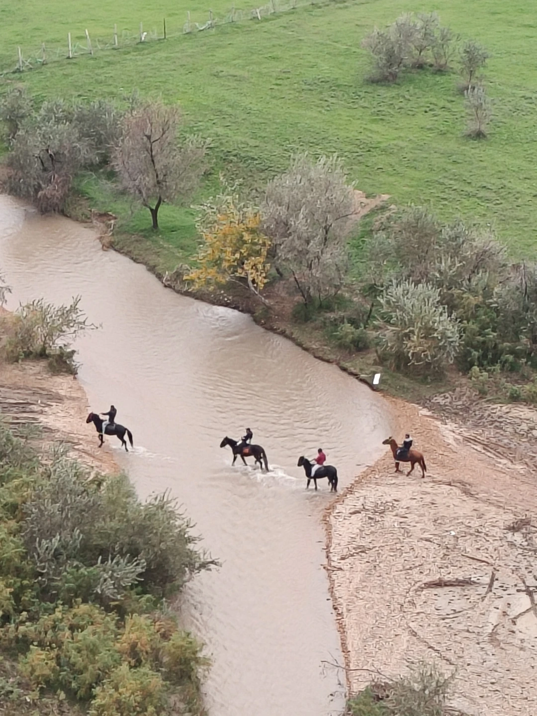 Гаджимагомед молодец, встретил, отвёз после экскурсии в нужное нам место, учёл все пожелания, жаль время пролетело