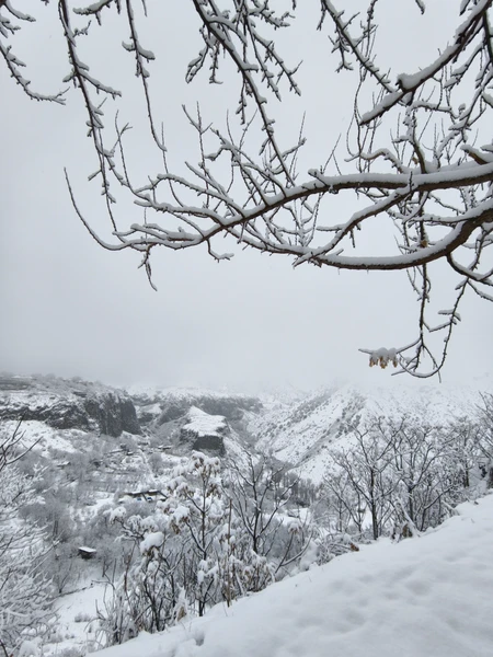Хочется сказать огромное спасибо, нашей праздничной женской команде Жасмин и Лере. 8 марта прошло великолепно, мы