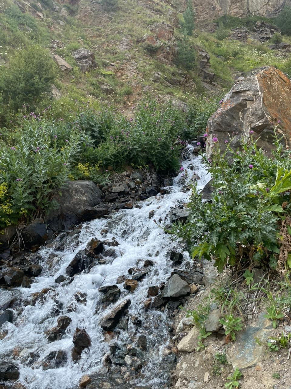 Экскурсия прошла отлично! Николай аккуратный водитель, прекрасный рассказчик, пунктуальный, внимательный. По пути на Эльбрус посетили горные